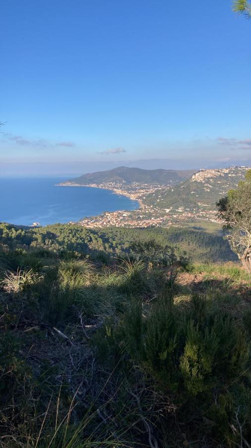 Casa Vacanze La Tuia Castellabate Kültér fotó